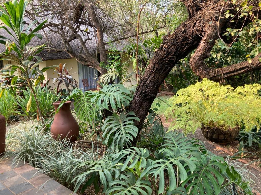 Acasia Guest Lodge Komatipoort Eksteriør bilde